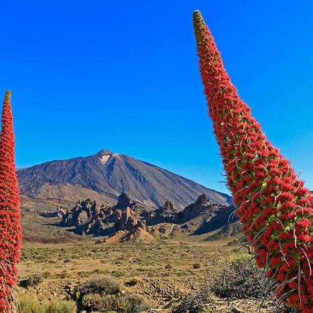 شقة بويرتو ذي لا كروز  في Jardines Del Teide المظهر الخارجي الصورة